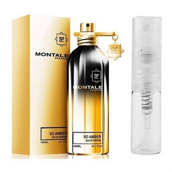 Montale Paris So Amber - Eau de Parfum - Geurmonster - 2 ml