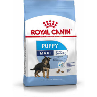 Voer Royal Canin Maxi Puppy Puppy/junior Vogels 4 Kg