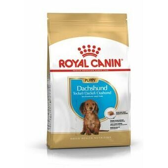 Voer Royal Canin  Breed Dachshund Jun Puppy/junior Plantaardig 1,5 Kg