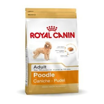 Voer Royal Canin Poodle Adult Volwassen 1,5 Kg