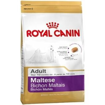 Voer Royal Canin Volwassen Maïs Vogels 500 g