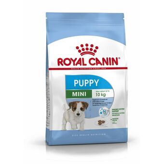 Voer Royal Canin Mini Puppy Puppy/junior Vogels 4 Kg