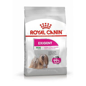 Voer Royal Canin Mini Exigent Volwassen Vogels 3 Kg