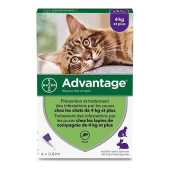 Middel tegen parasieten Advantage Kat Konijnenvlees +4 Kg 4 Stuks 0,8 ml