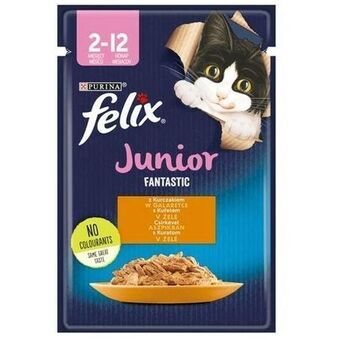 Kattenvoer Purina Fanstastic Kip