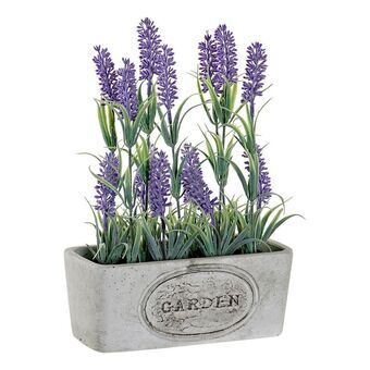 Decoratieve Bloem DKD Home Decor Cement Ijzer PE (19 x 9 x 28 cm)