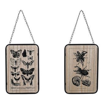 Schilderij DKD Home Decor S3013953 Insecten Zwart Metaal Hout MDF (20.5 x 1 x 32 cm) (2 pcs)