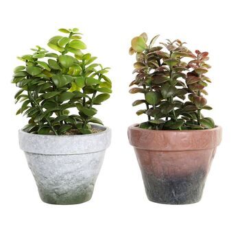 Decoratieve plant DKD Home Decor Keramiek Polypropeen (PP) EVA (2 pcs) (16 x 16 x 29.5 cm)