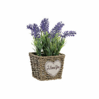 Decoratieve plant DKD Home Decor Metaal Polyethyleen Natuurlijk Lila (12 x 12 x 22 cm)