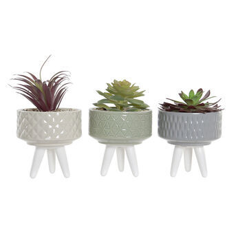 Decoratieve plant DKD Home Decor Grijs Beige Groen PVC Steengoed (11,5 x 11,5 x 18 cm) (3 stuks)