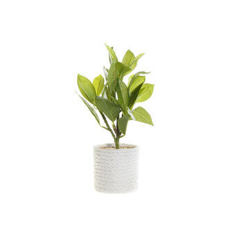 Sierplant DKD Home Decor Wit Groen PVC EVA (23 x 23 x 30 cm)