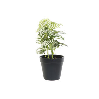 Decoratieve plant DKD Home Decor Zwart Groen PVC Plastic (13 x 13 x 27 cm)