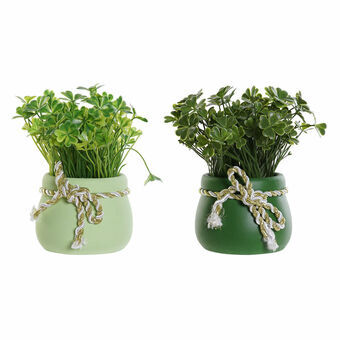 Decoratieve plant DKD Home Decor Cement PE (9 x 9 x 15 cm)