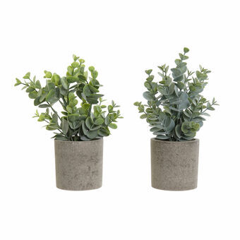 Decoratieve plant DKD Home Decor Groen Hars Polyethyleen (17 x 17 x 24 cm) (2 pcs)