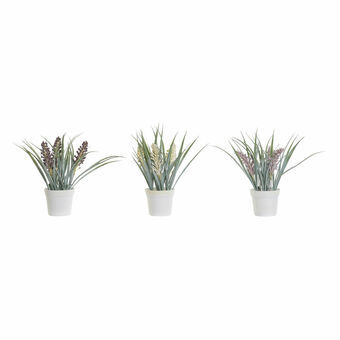 Decoratieve plant DKD Home Decor Roze Polyethyleen Geel Bordeaux (3 pcs) (9 x 9 x 28 cm)