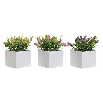 Decoratieve plant DKD Home Decor Cement PE