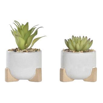 Decoratieve plant DKD Home Decor Cement Wit Groen PE (9,5 x 9,5 x 14 cm) (2 Stuks)