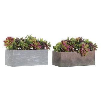 Decoratieve plant DKD Home Decor Grijs Bruin Multicolour EVA PE (23,5 x 11 x 14,5 cm) (2 Stuks)