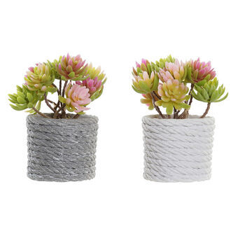 Decoratieve plant DKD Home Decor Grijs Beige Roze Groen EVA PE (2 Stuks) (12 x 10 x 14,5 cm)