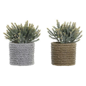 Decoratieve plant DKD Home Decor Grijs Bruin Groen EVA PE (11 x 12 x 14 cm) (2 Stuks)