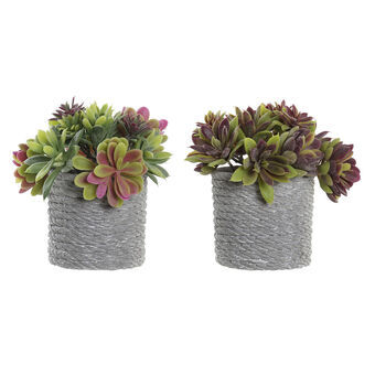 Decoratieve plant DKD Home Decor Rood Grijs Oranje Groen EVA PE (17 x 15 x 16 cm) (2 Stuks)