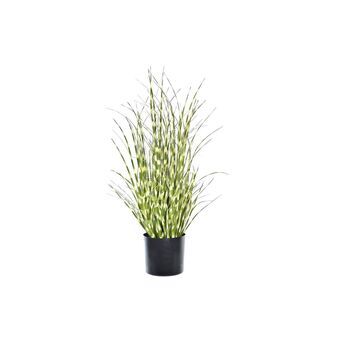 Decoratieve plant DKD Home Decor Groen PVC PE (20 x 20 x 60 cm)