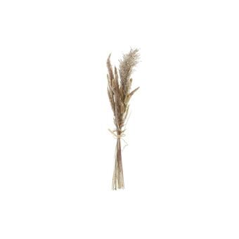 Boeket DKD Home Decor Droog Beige Bruin Gedroogde bloem (12 x 3 x 53 cm)