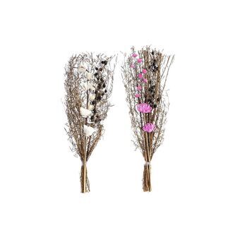 Boeket DKD Home Decor Roze Bruin Wit Gedroogde bloem (2 Stuks) (30 x 30 x 65 cm)