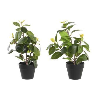 Decoratieve plant DKD Home Decor Groen PP PE Vijgen (2 Stuks) (21 x 18 x 30 cm)