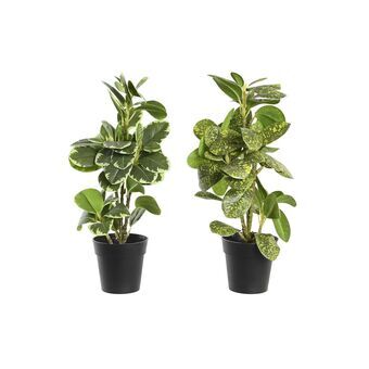 Decoratieve plant DKD Home Decor Groen PP PE Vijgen (24 x 22 x 35 cm) (2 Stuks)