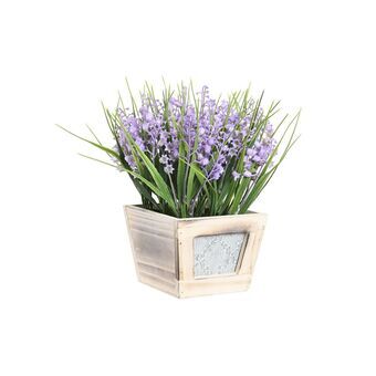 Decoratieve plant DKD Home Decor Lila MDF PE (24 x 24 x 24 cm)