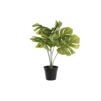 Decoratieve plant DKD Home Decor Monstera Groen PP PE (40 x 30 x 50 cm)