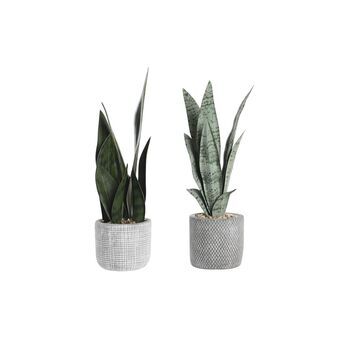 Decoratieve plant DKD Home Decor Grijs Groen Hars PE (10,5 x 10,5 x 34,5 cm) (2 Stuks)