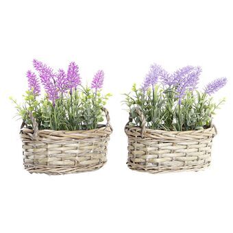 Decoratieve plant DKD Home Decor Roze Lila vlechtwerk PE (19 x 12 x 22 cm) (2 Stuks)