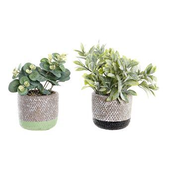 Decoratieve plant DKD Home Decor Zwart Groen Hars PE (2 Stuks) (12 x 12 x 24 cm)