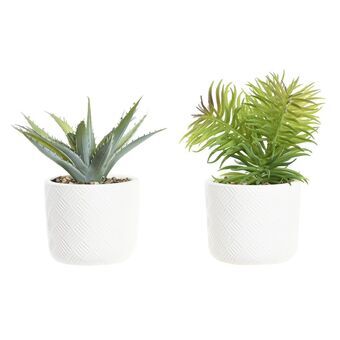 Decoratieve plant DKD Home Decor Wit Groen Hars PE (10 x 10 x 20,5 cm) (2 Stuks) (3 Stuks)