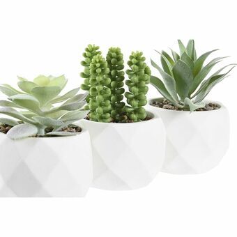 Decoratieve plant DKD Home Decor Wit Groen Hars PE (10 x 10 x 14 cm) (3 Stuks)