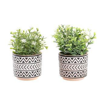 Decoratieve plant DKD Home Decor Zwart Cement Wit Groen PE (2 Stuks) (10 x 10 x 15 cm)