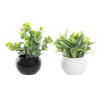 Decoratieve plant DKD Home Decor PE (12 x 12 x 15 cm) (2 Stuks)