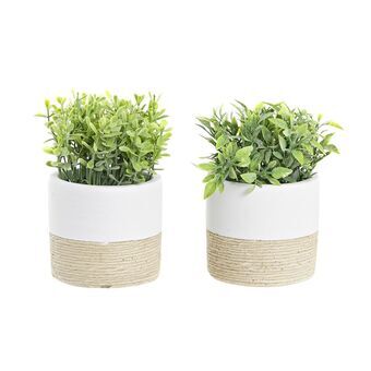 Decoratieve plant DKD Home Decor Natuurlijk Cement Wit Groen PE (2 Stuks) (10 x 10 x 16 cm)