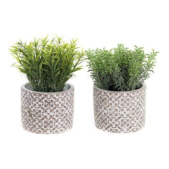 Decoratieve plant DKD Home Decor Cement PE (2 Stuks) (12 x 12 x 18 cm)