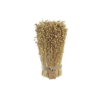 Decoratieve plant DKD Home Decor Bloem Natuurlijk (12 x 12 x 30 cm)