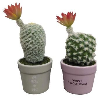 Decoratieve plant DKD Home Decor Cactus Keramisch Grijs Roze PE (8 x 8 x 20 cm) (2 Stuks)