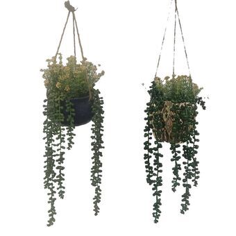 Decoratieve plant DKD Home Decor Hanger Keramisch PE (15 x 15 x 70 cm) (2 Stuks)