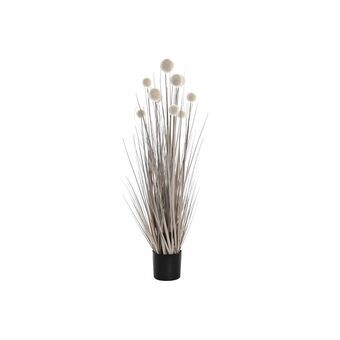 Decoratieve plant DKD Home Decor Pompons (25 x 25 x 90 cm)