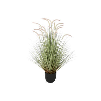 Decoratieve plant Home ESPRIT PVC Polyethyleen 60 x 60 x 120 cm