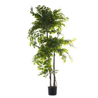 Decoratieve plant Alexandra House Living Plastic Vijgen 18 x 22 x 162 cm