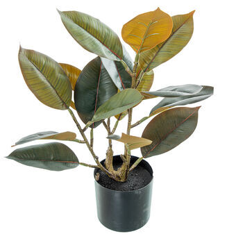 Decoratieve plant Alexandra House Living Plastic Ek 50 cm