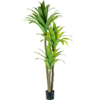 Decoratieve plant Alexandra House Living Plastic Dracaena 180 cm