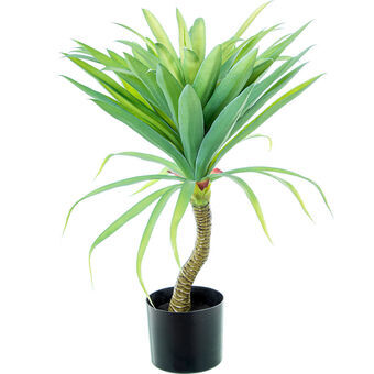 Decoratieve plant Alexandra House Living Plastic Cassave 70 cm